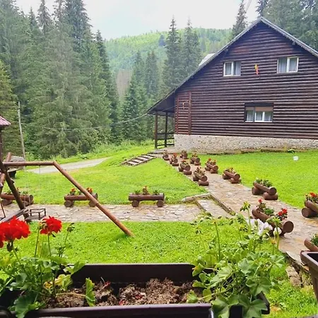 Patru Brazi Lodge *