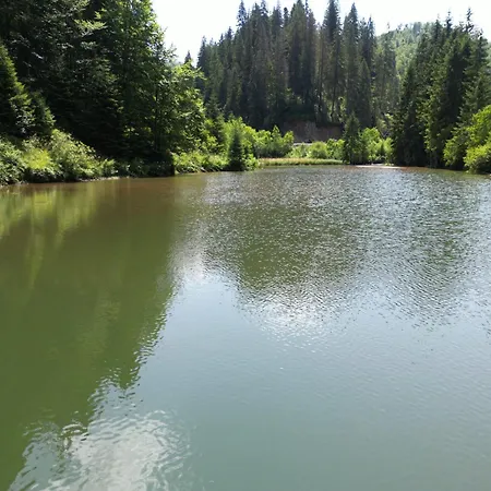 Patru Brazi Lodge